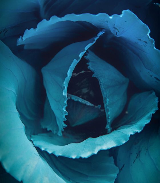 blog-thumbnail-4